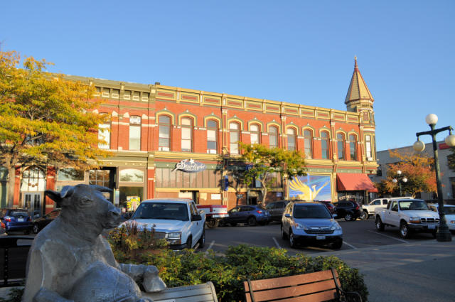 Ellensburg Bull