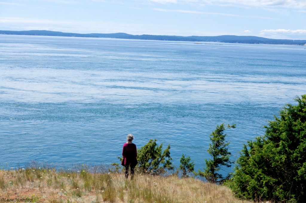 Looking for dolphins at Juniper Point