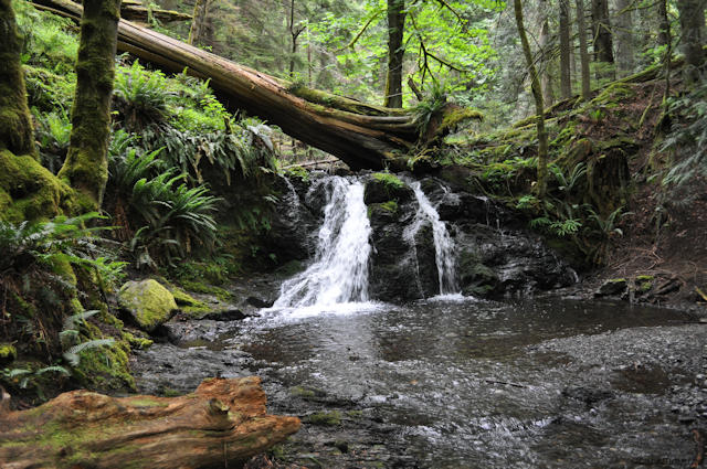 A small waterfall found on Orcas Island in Moran State Park