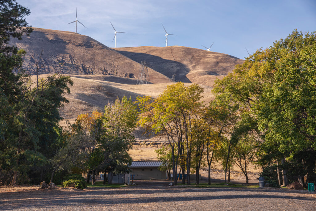 view of a small building nestled in the trees in maryhill state park, rolling hills and windmills are visible in the background