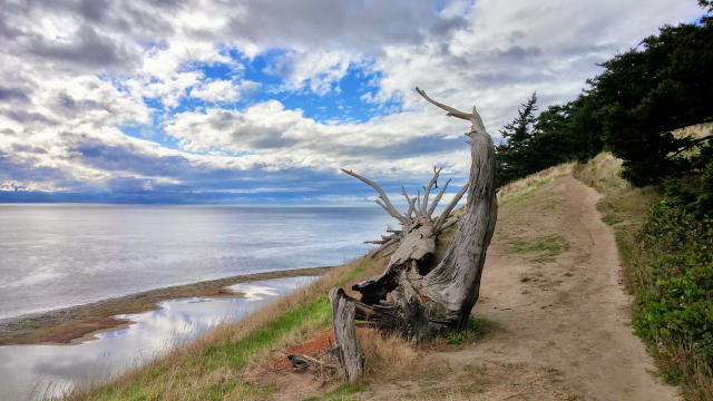 Ebey's Landing Bluff Trail