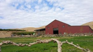 Owen Roe Winery in the Yakima Valley.