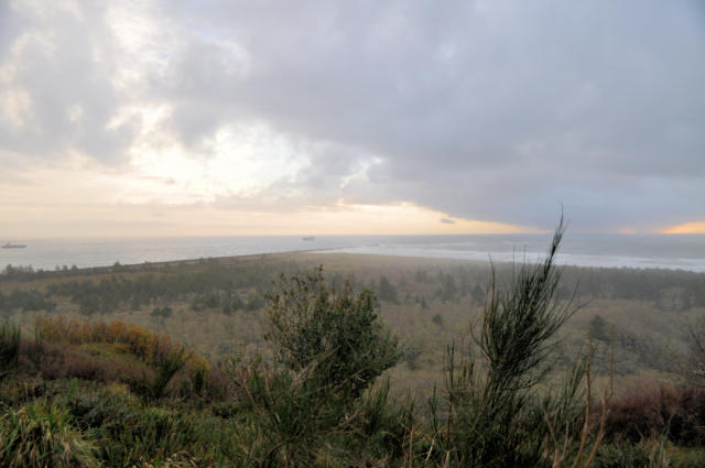 View from McKenzie Head.