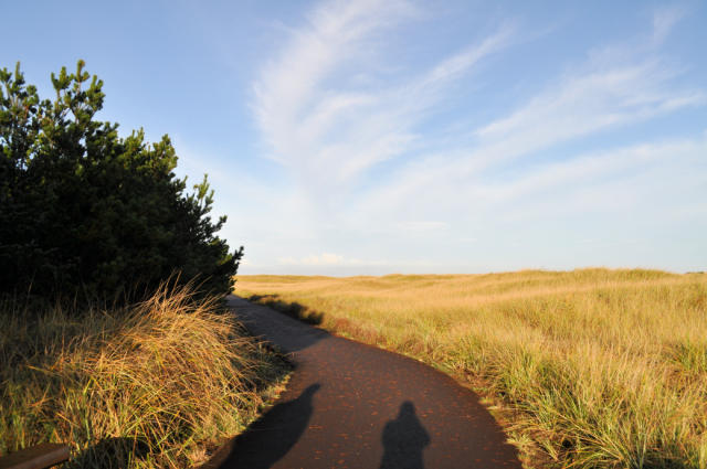 Path to Clark's Tree