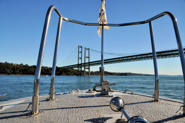 Tacoma Narrows Bridge