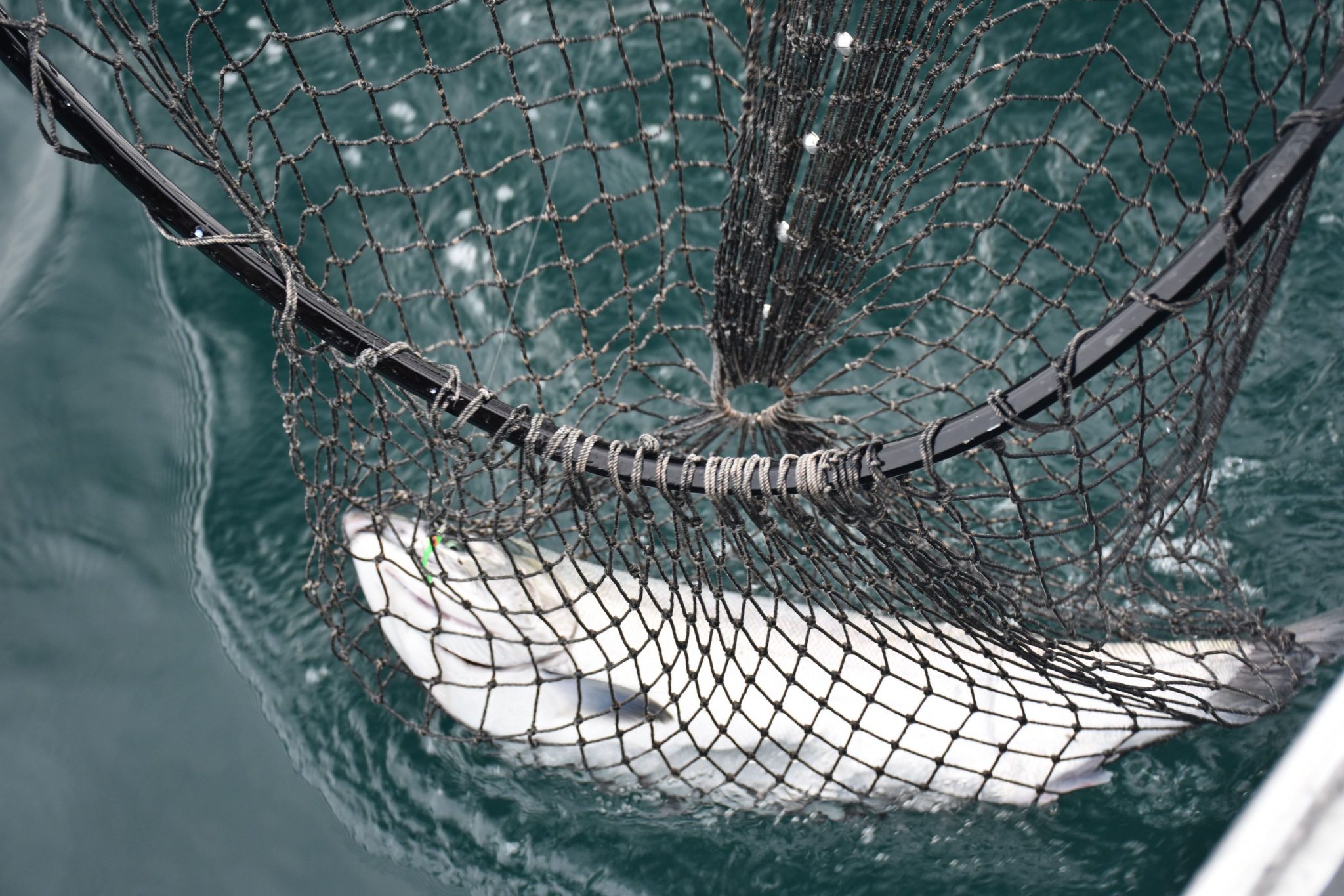 17 Things to Do in Anacortes Weekend Trip Ideas! • Small Town Washington