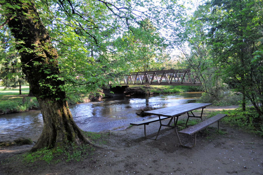 Picnic tables at Lynden City Park.