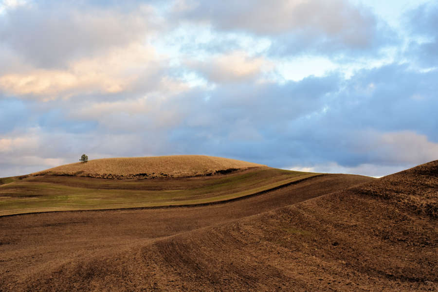 The Palouse