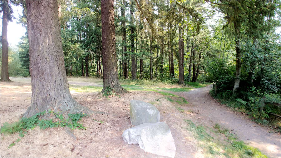 Trails at Clark Lake in Kent, Washington.