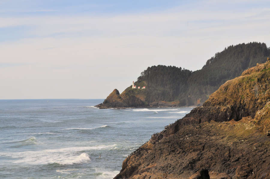 Heceta Head Lighthouse can be seen from the Sea Lion Caves.