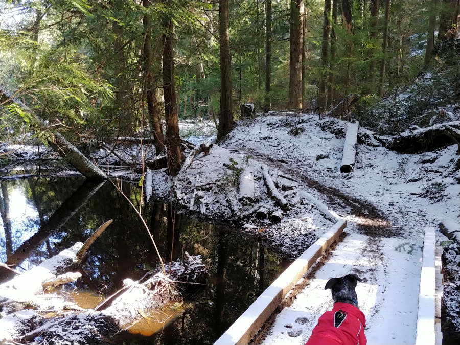 A snowy day in Anacortes.