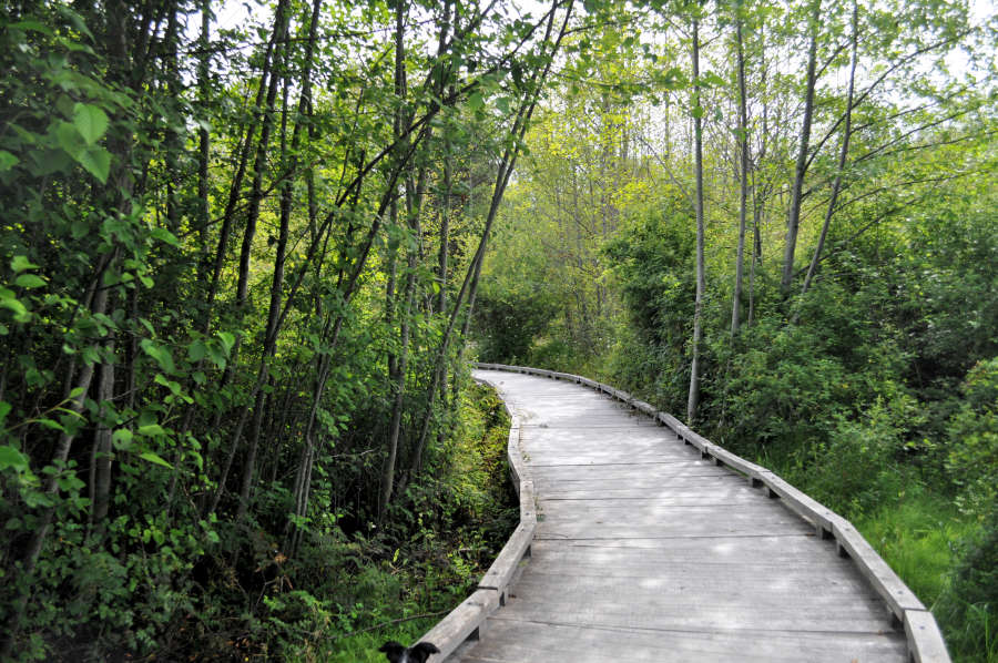 SHIP trail in Anacortes, Washington