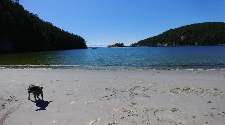 A sandy beach at Bowman Bay.