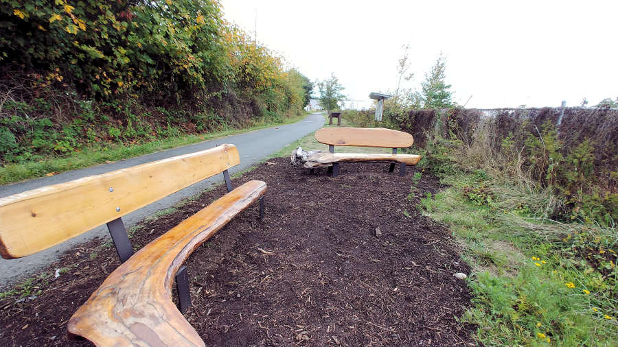 Benches along the Tommy Thompson Trail in Anacortes, Washington. 