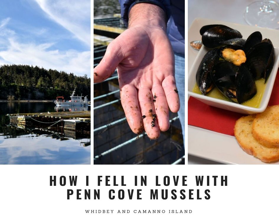 New Article How I Fell In Love With Penn Cove Mussels • Small Town