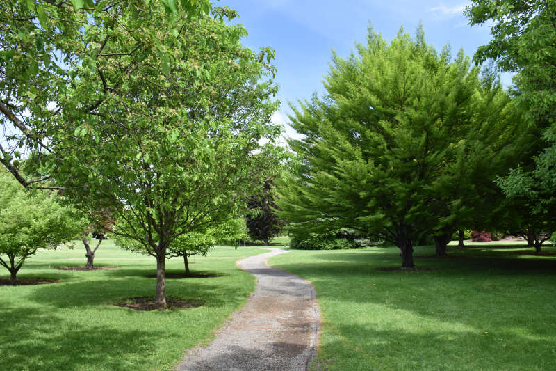 A trail through the Yakima Area Arboretum.