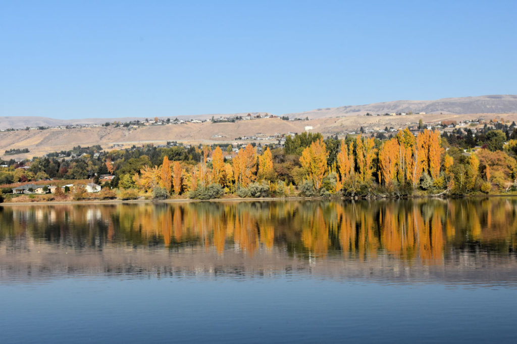 The Wenatchee River with fall colors of orange and green on the blue river.