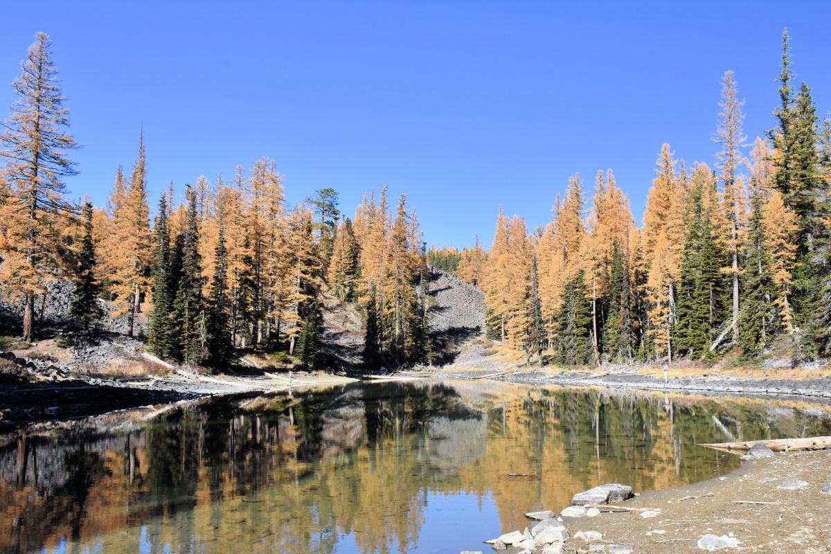 Lake Wenatchee Guide Ideal Year Round Family Getaway Ordinary Adventures