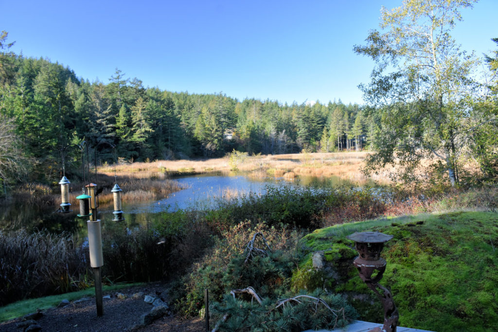 The view from Otters Pond Bed & Breakfast on Orcas Island. 