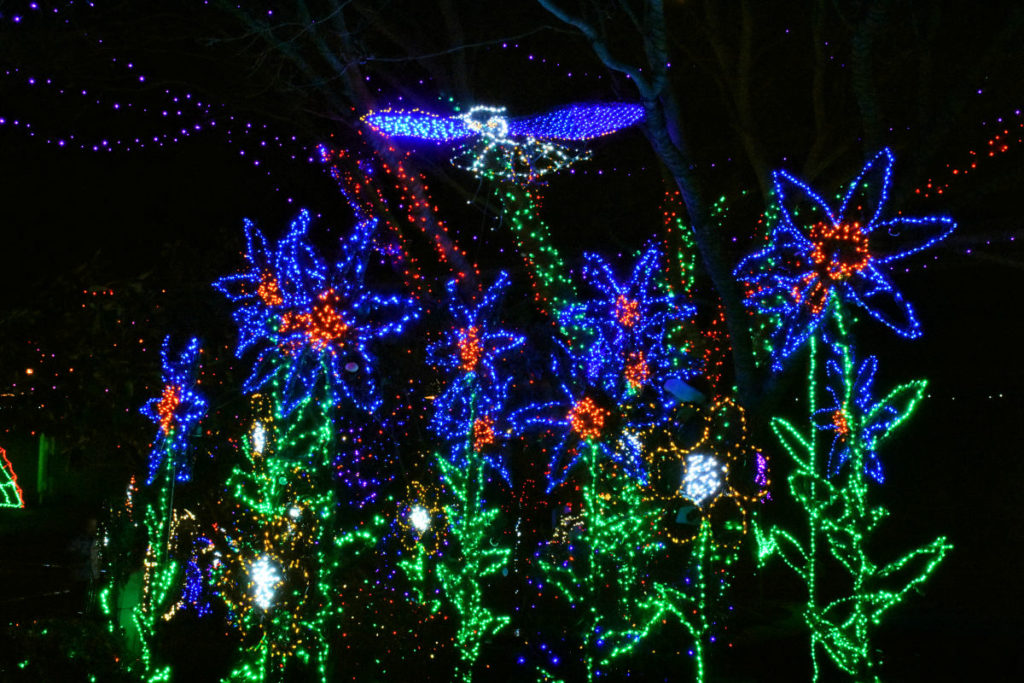 The Holiday Lights in Kingston, Washington • Small Town Washington