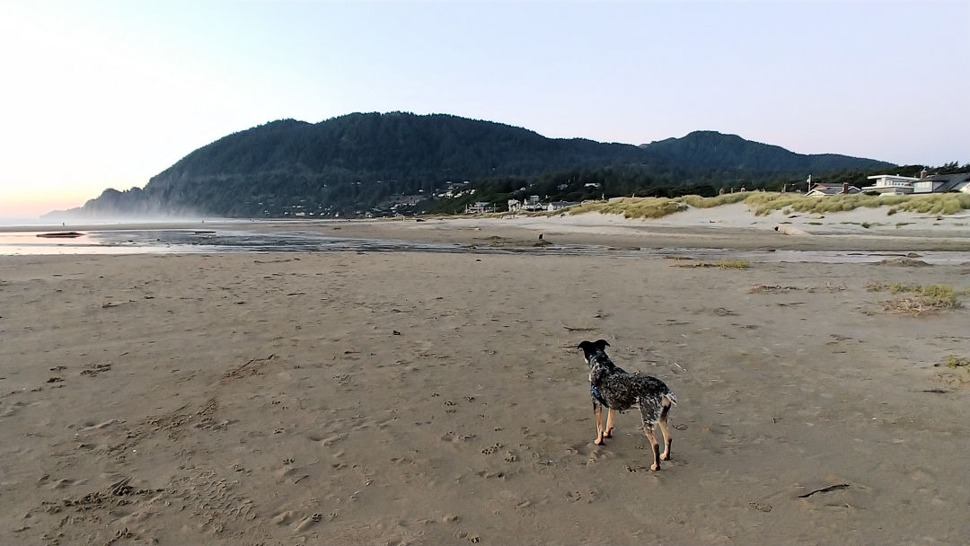 5 Marvelous Things to Do in Manzanita, Oregon • Small Town Washington