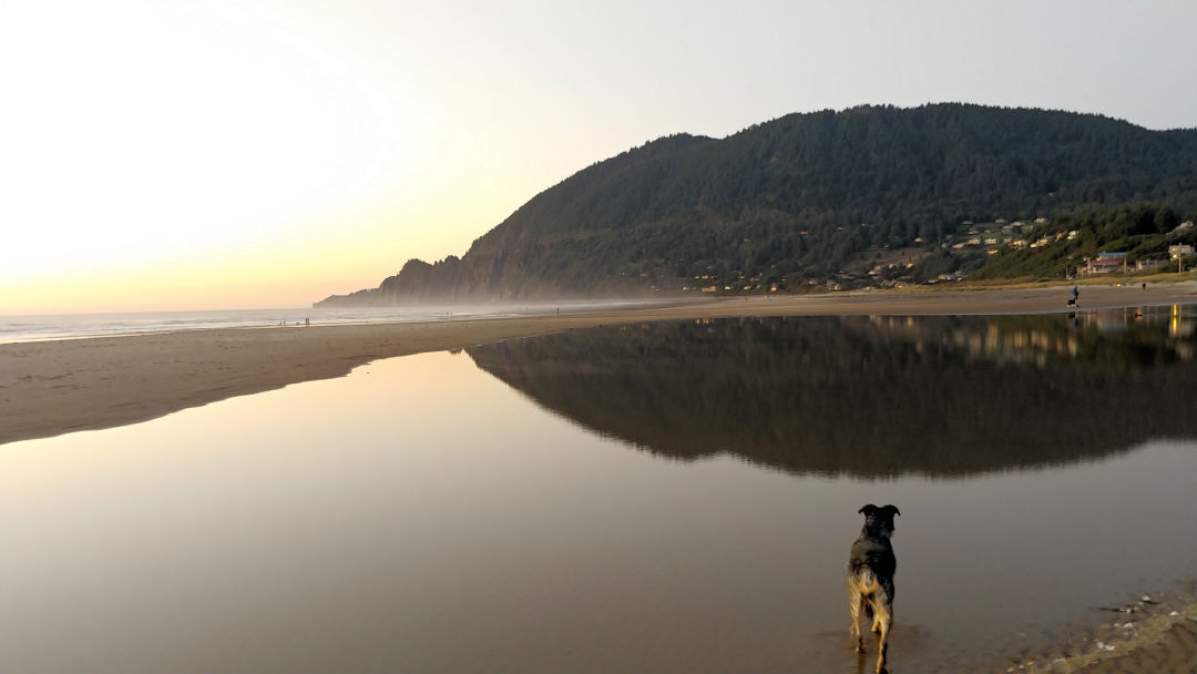5 Marvelous Things to Do in Manzanita, Oregon • Small Town Washington