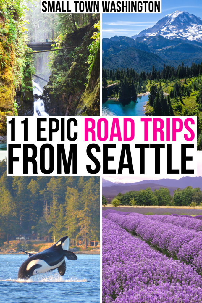 4 photos of possible weekend getaways from seattle: olympic np, mount rainier, san juan islands, sequim lavender. black and pink text on a white background reads "11 epic road trips from seattle"