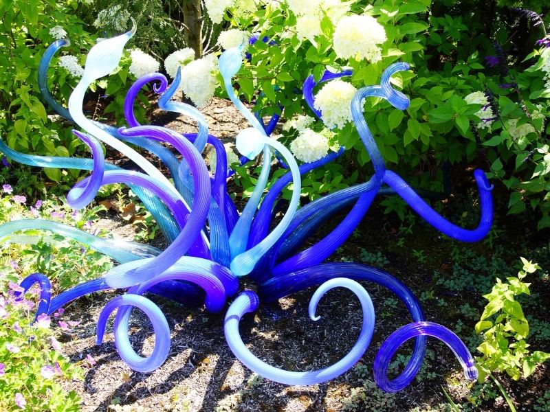 A purple and blue blown glass abstract sculpture reminiscent of a sea anemone shown outside in a garden with green plants with white flowers.