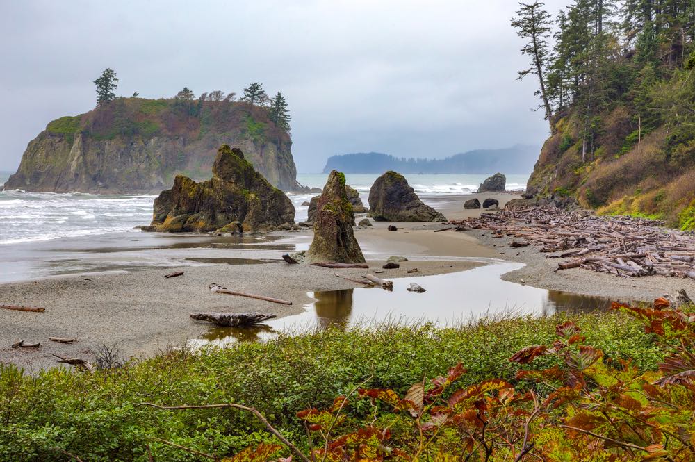 Cloudy day with sea stacks and wild islands off the rugged coast of Ruby Beach, a must-stop on this Olympic Peninsula road trip