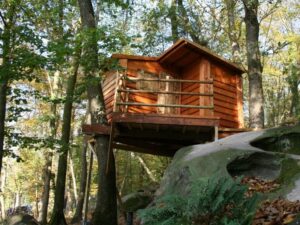 23 Epic Treehouse Rentals In Washington State Worth Booking • Small ...