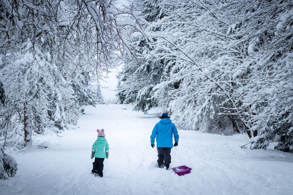 A man in a blue jacket with a pink sled leading it down a path with a girl in a green jacket following him.