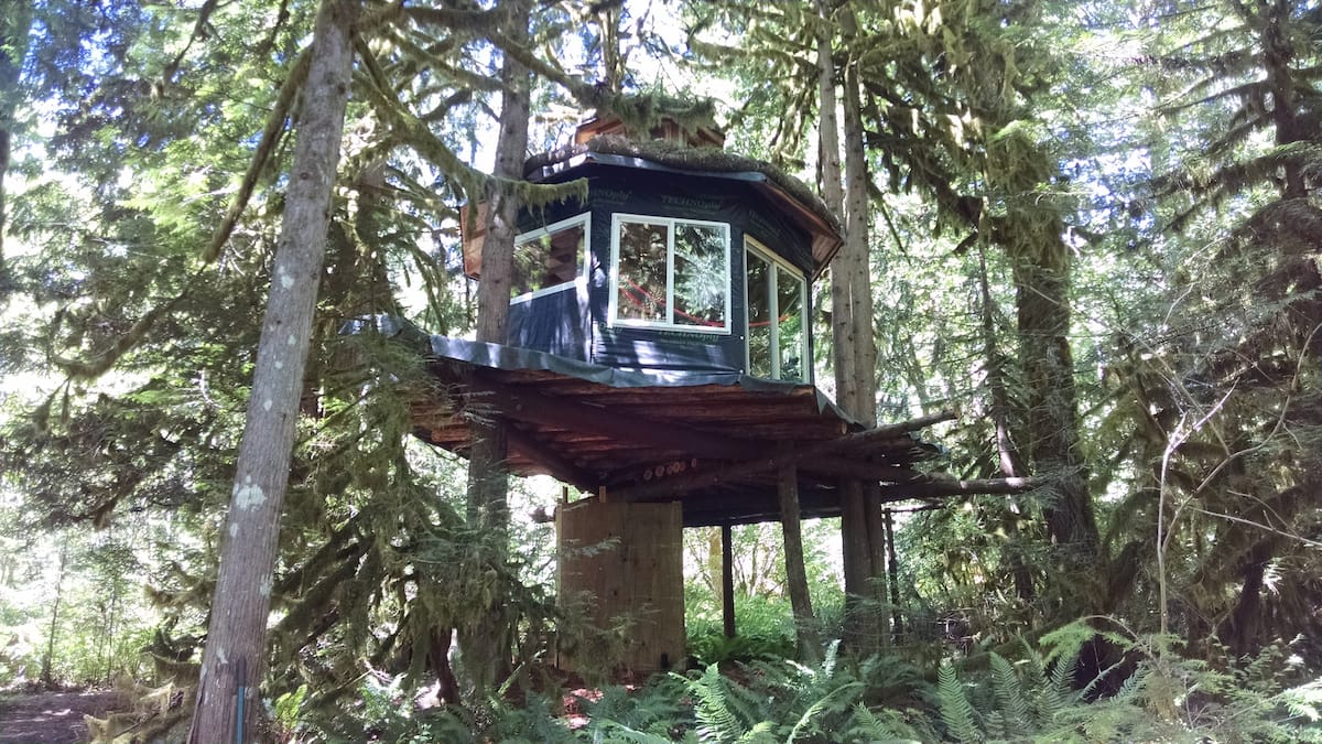 23 Epic Treehouse Rentals in Washington State Worth Booking • Small