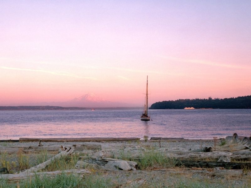 Pastel pink and lavender skies with one sail boat and a beach with driftwood on it on a beautiful Washington island landscape.