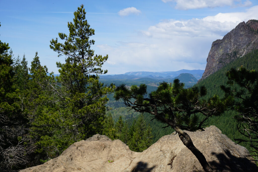 view from mount si near seattle with evergreen trees blocking part of the view