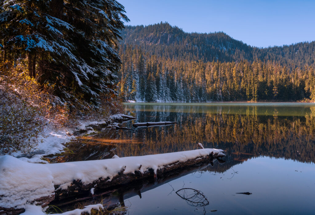 lake eleanor in late fall, with foliage visible across the lake and some snow on a log in the foreground