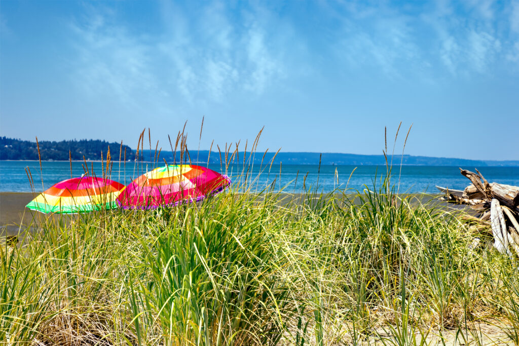 colorful umbrellas on jetty island with grass in the foreground and water in the background, one of the best beaches in washington state