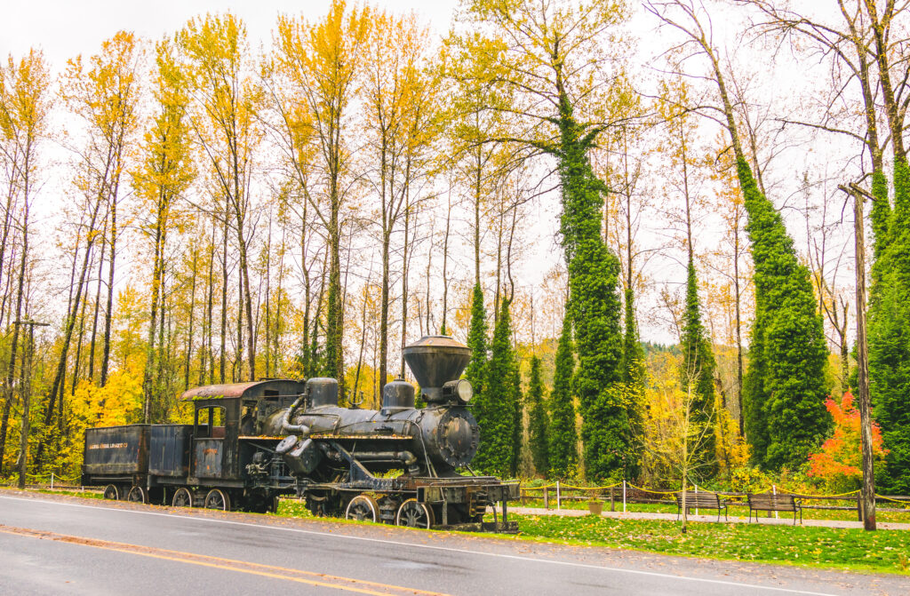 historic train engine parked in elbe washington in the fall with foliage behind it