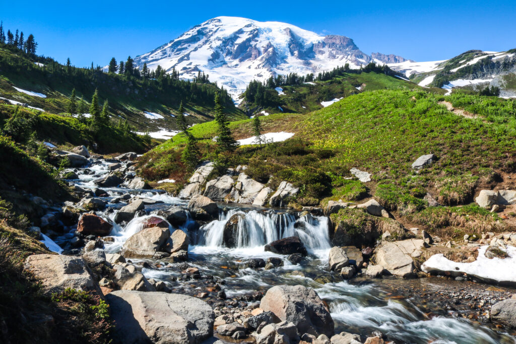 view from skyline trail, one of the best hikes in washington. edith creek is in the foreground and mount rainier in the background