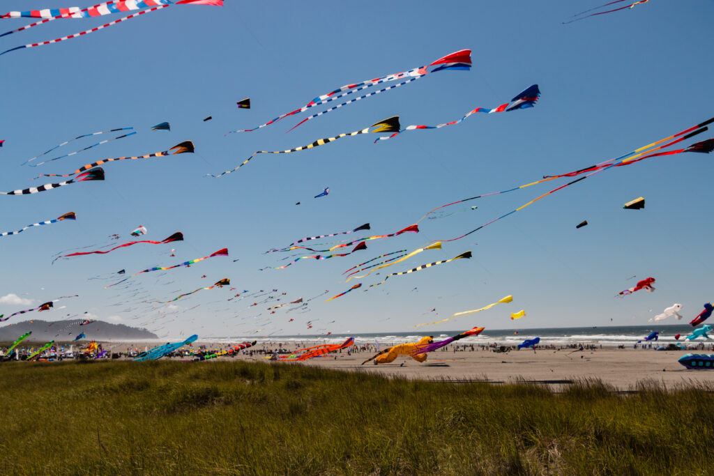 colorful kites flying above long beach washington state