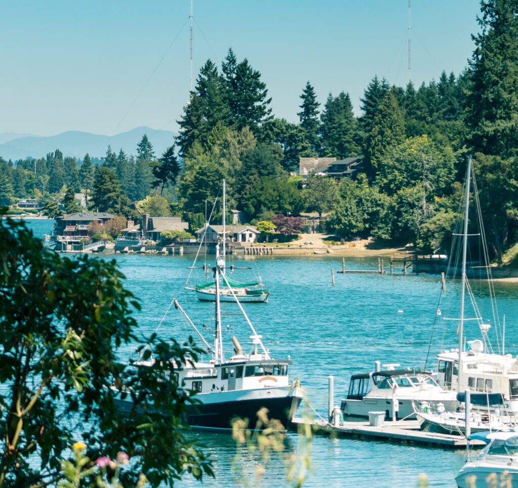 view of vashon harbor as seen through the trees with sailboats in the foreground