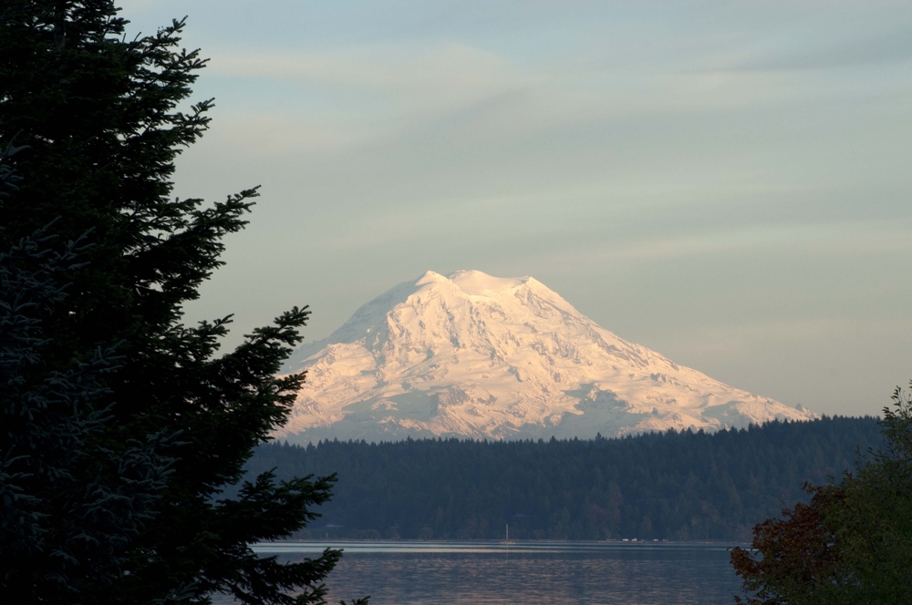 Photo of Mount Rainier covered in snow with foreground of pine trees and water taken from an island in Washington State