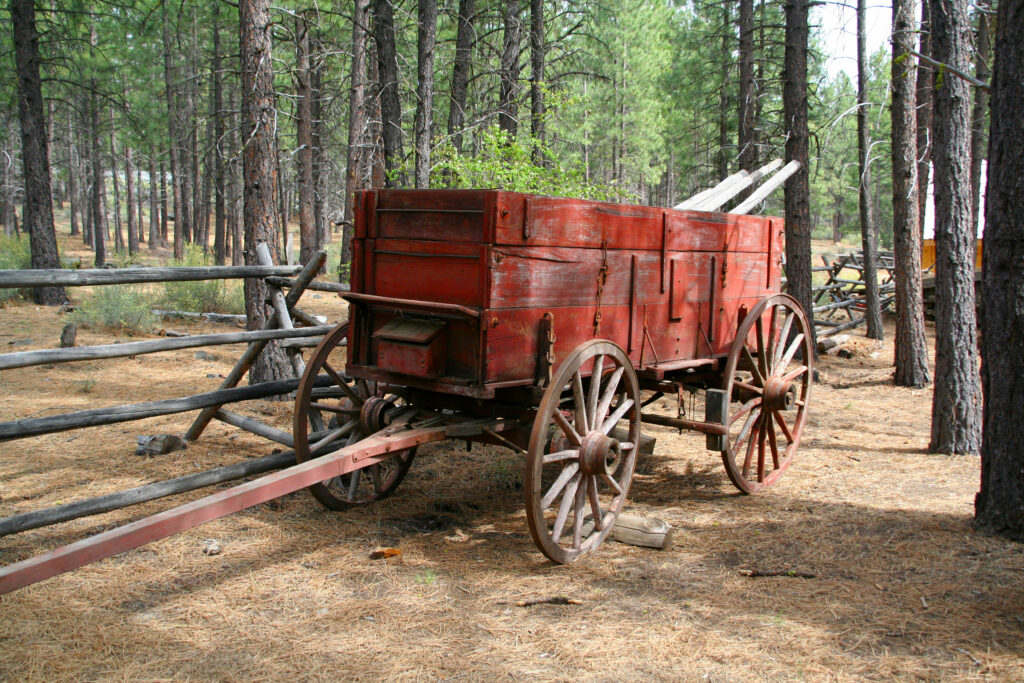 old fashioned cart at the high desert museum in oregon surrounded by trees