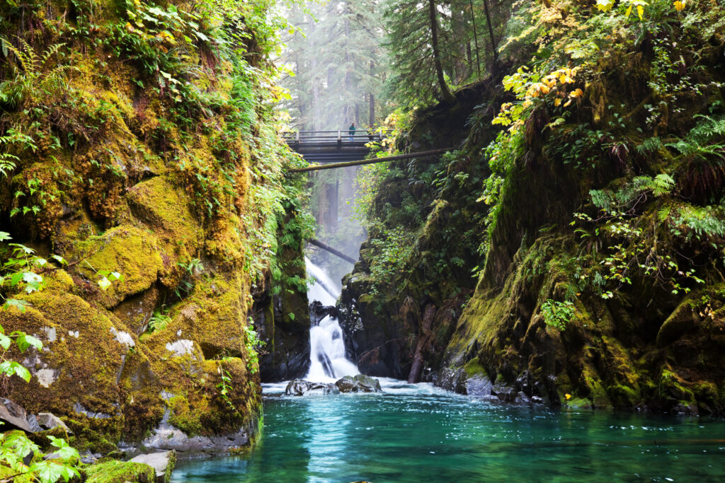 bridge in the forest over a beautiful river in olympic national park, one of the best weekend getaways from seattle wa