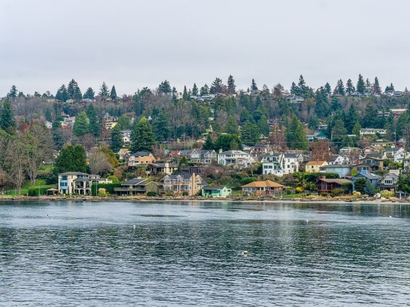 Lots of houses on the shore of Vashon Island with pine trees in the background, as seen from a boat approaching the island.