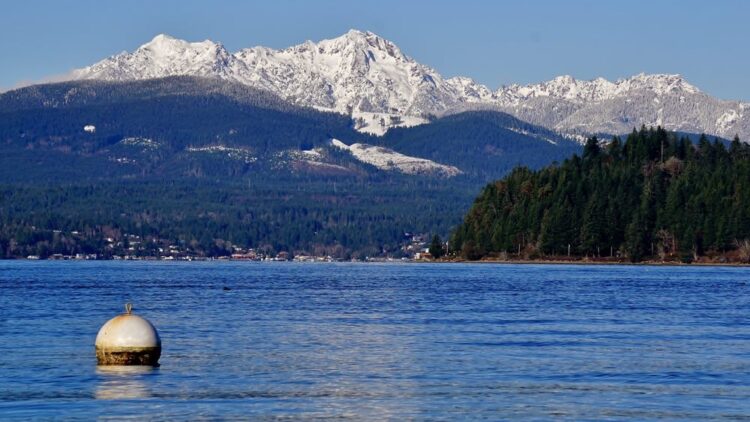 The blue water in Hood Canal, with distant mountains in the background covered in snow