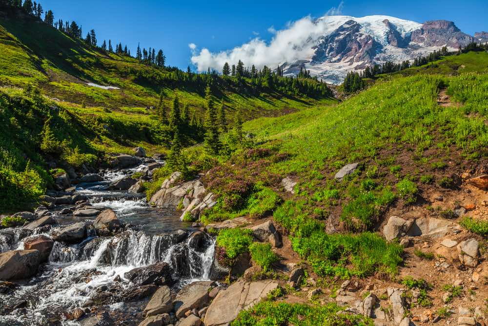 skyline trail in mt rainier np, one of the best national parks in washington state