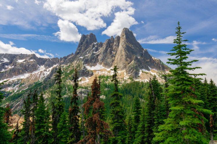 jagged mountain view of washington pass overlook, one of the best north cascades national park hikes