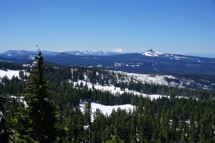 Rows of pine trees interspersed with white stripes of snow on the ground, with a view of snow-covered peaks way off in the distance, in Crater Lake in winter.