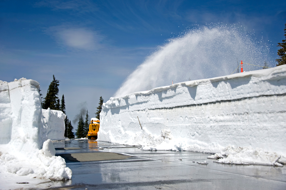 Olympic Park Washington Weather Forecast