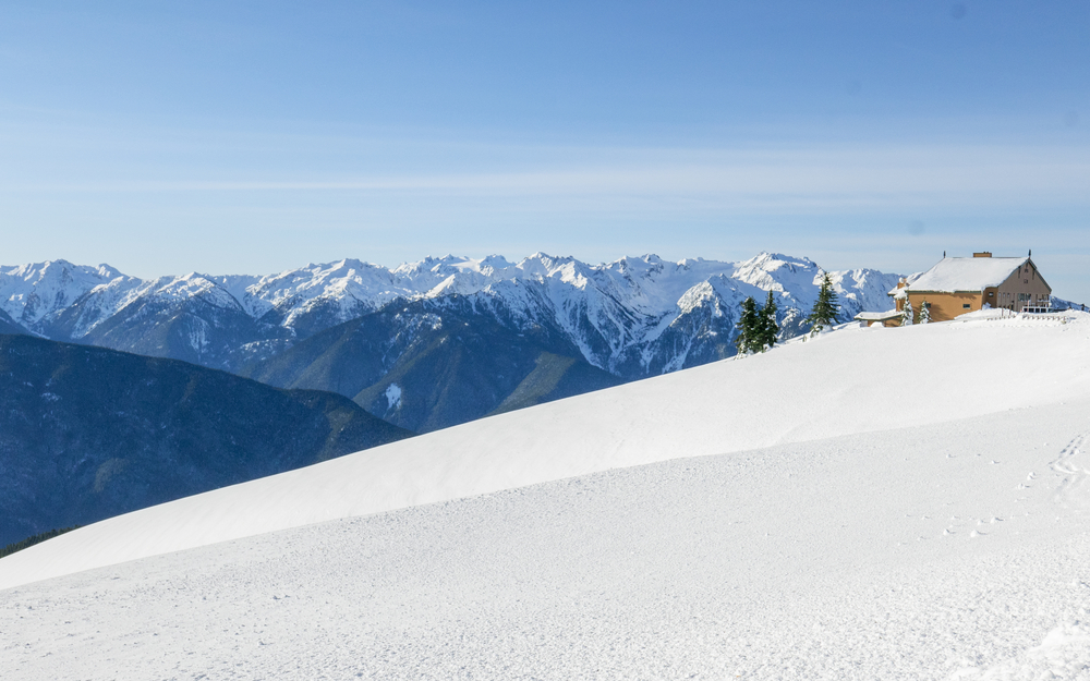 10 Outstanding Things to Do in Olympic National Park in Winter (Plus
